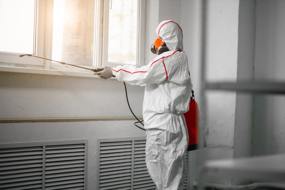 Professional mold remediation services in Grove, OK